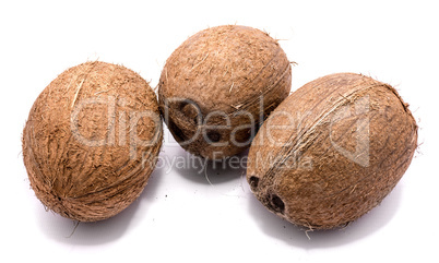 Fresh coconut isolated on white