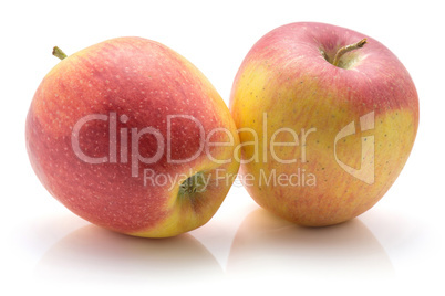 Raw evelina apple isolated