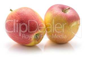 Raw evelina apple isolated