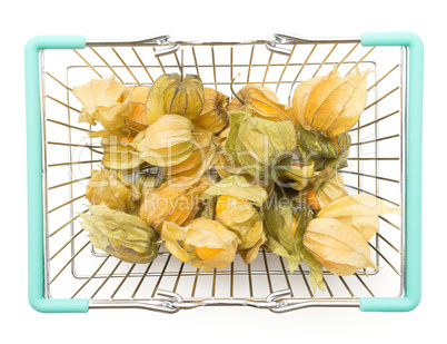 Fresh physalis isolated on white