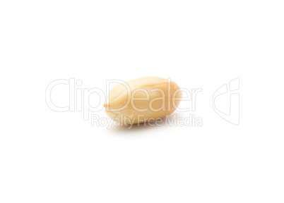 Raw peanut isolated on white