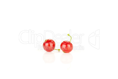 Fresh raw red currant isolated on white