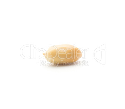 Raw peanut isolated on white