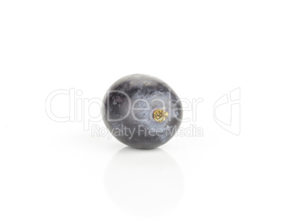 Fresh Black Wine Grapes isolated on white