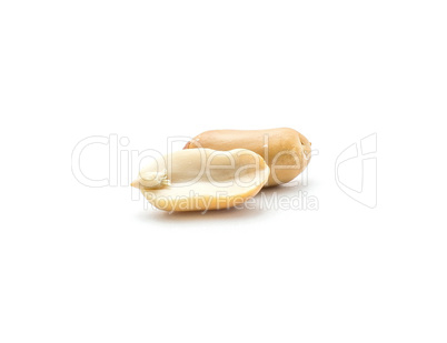 Raw peanut isolated on white