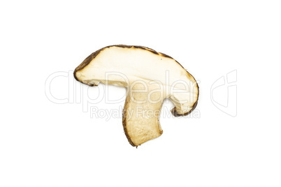 Fresh raw shitake mushroom isolated on white