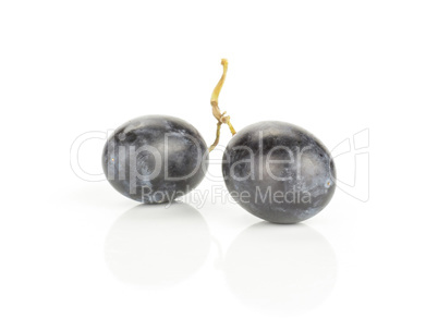 Fresh Black Wine Grapes isolated on white