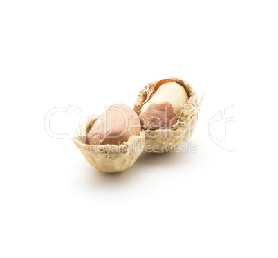 Raw peanut isolated on white