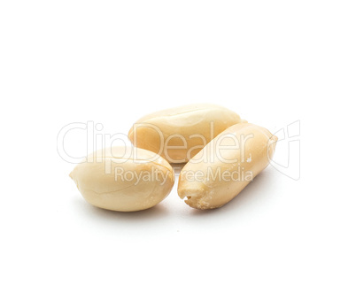 Raw peanut isolated on white