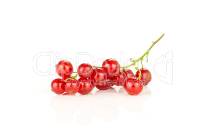 Fresh raw red currant isolated on white