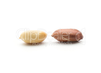 Raw peanut isolated on white