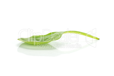 Fresh raw green spinach isolated on white