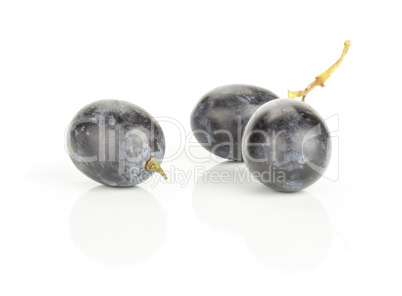 Fresh Black Wine Grapes isolated on white