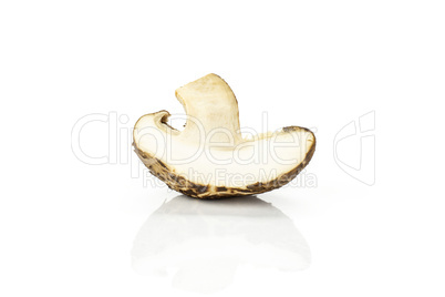 Fresh raw shitake mushroom isolated on white