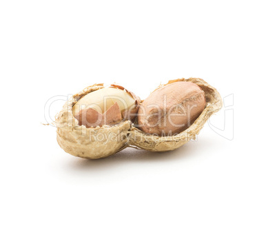 Raw peanut isolated on white