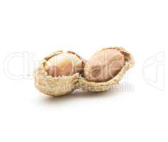 Raw peanut isolated on white