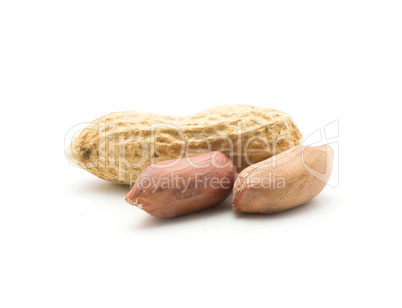 Raw peanut isolated on white