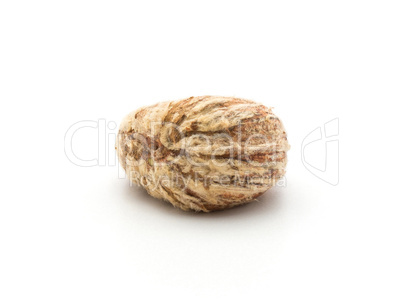 Raw edible Chestnut isolated on white