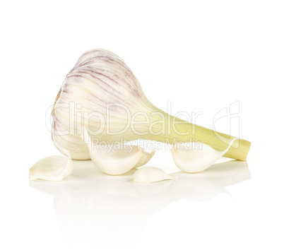 Fresh young garlic isolated on white