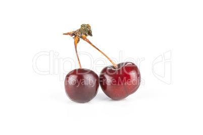 Fresh raw sweet red cherry isolated on white