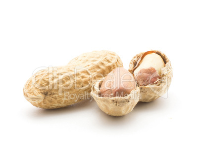 Raw peanut isolated on white