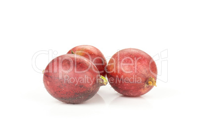 Fresh raw red gooseberry isolated on white