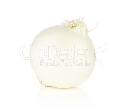 Fresh raw white onion isolated on white