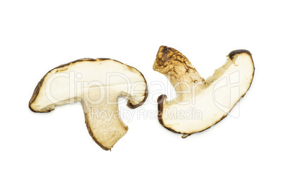 Fresh raw shitake mushroom isolated on white