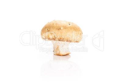 Fresh raw brown champignons isolated on white