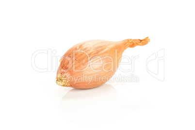 Fresh raw long shallot onion isolated on white