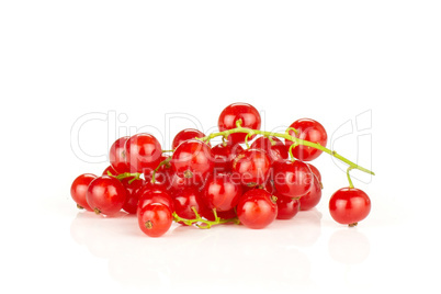 Fresh raw red currant isolated on white