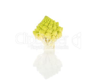 Fresh green romanesco cauliflower isolated on white