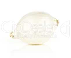 Fresh raw white onion isolated on white