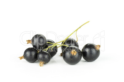 Fresh Raw Black Currant berry isolated on white