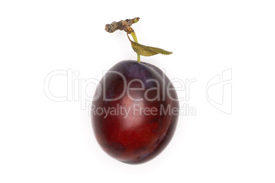 Fresh Raw vibrant plums isolated on white