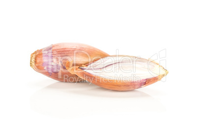 Fresh raw long shallot onion isolated on white