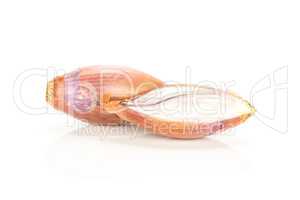 Fresh raw long shallot onion isolated on white