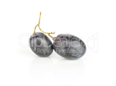 Fresh Black Wine Grapes isolated on white