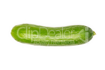 Fresh raw mini cucumber isolated on white