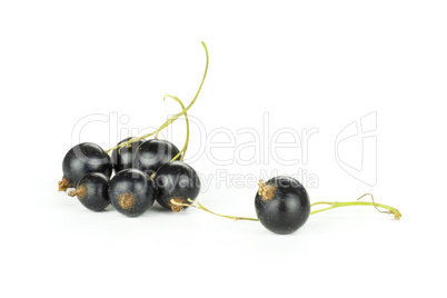 Fresh Raw Black Currant berry isolated on white