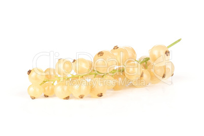 Fresh white currant berries  isolated on white