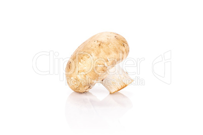 Fresh raw brown champignons isolated on white