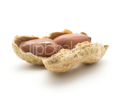 Raw peanut isolated on white