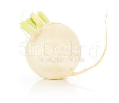 Fresh white radish isolated on white