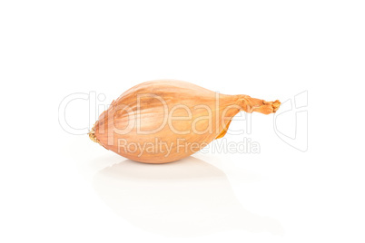 Fresh raw long shallot onion isolated on white