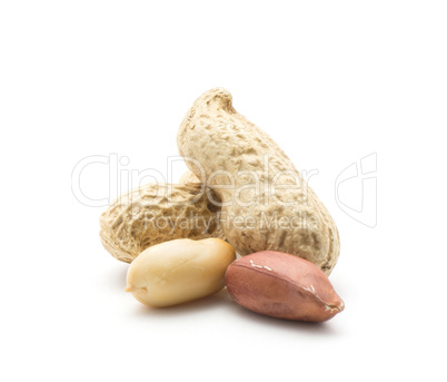 Raw peanut isolated on white