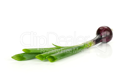 Fresh Raw green spring onion isolated on white