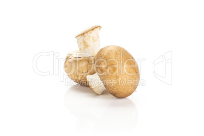 Fresh raw brown champignons isolated on white