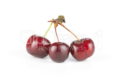 Fresh raw sweet red cherry isolated on white