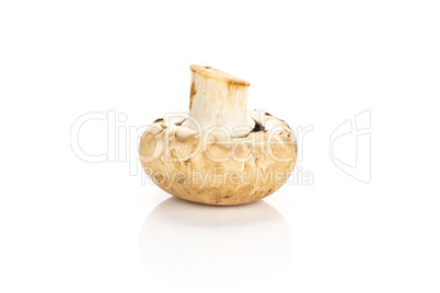 Fresh raw brown champignons isolated on white